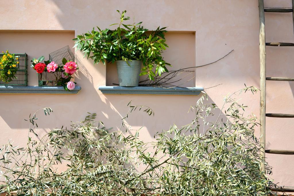 Monte A Pescia Villa Luaran gambar